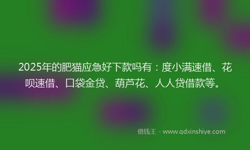 2025年的肥猫应急好下款吗有:度小满速借、花呗速借、口袋金贷、葫芦花、人人贷借款等。