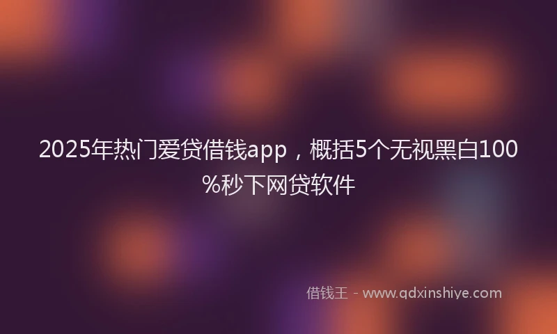 2025年热门爱贷借钱app，概括5个无视黑白100%秒下网贷软件