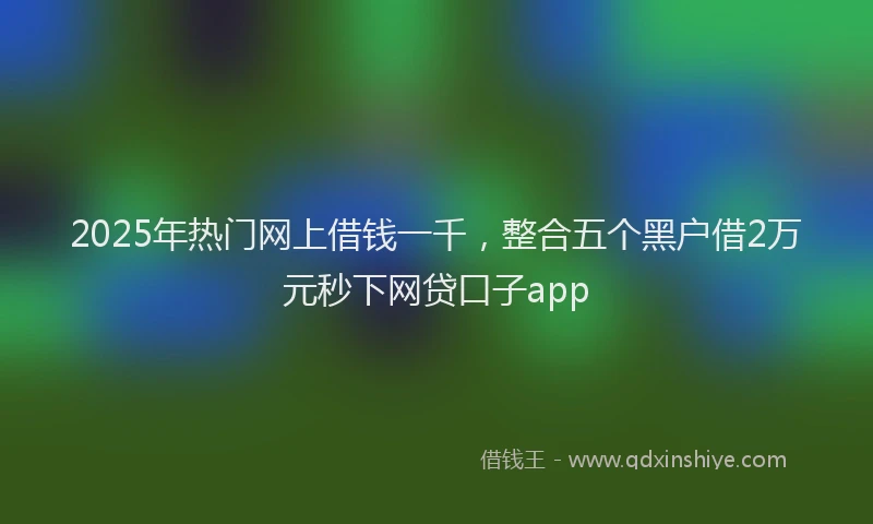 2025年热门网上借钱一千，整合五个黑户借2万元秒下网贷口子app