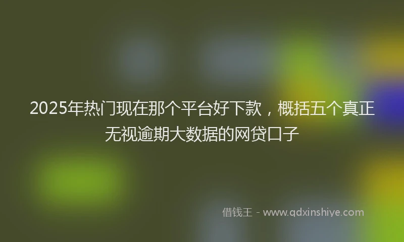 2025年热门现在那个平台好下款，概括五个真正无视逾期大数据的网贷口子