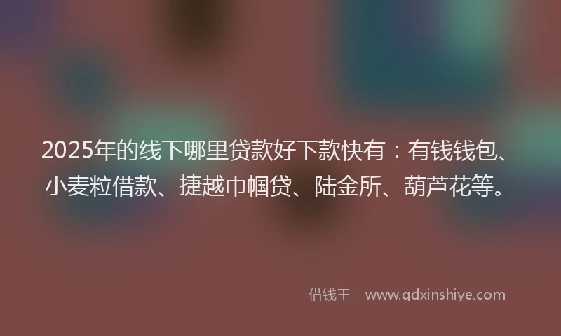 2025年的线下哪里贷款好下款快有：有钱钱包、小麦粒借款、捷越巾帼贷、陆金所、葫芦花等。
