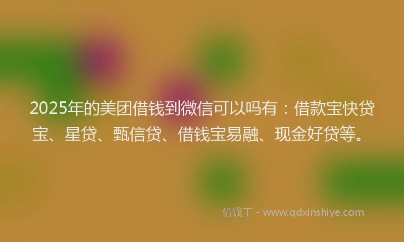 2025年的美团借钱到微信可以吗有:借款宝快贷宝、星贷、甄信贷、借钱宝易融、现金好贷等。
