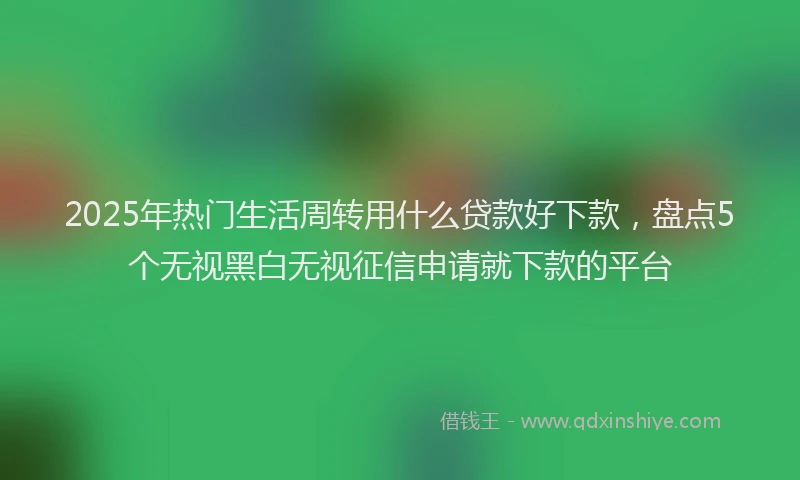 2025年热门生活周转用什么贷款好下款，盘点5个无视黑白无视征信申请就下款的平台