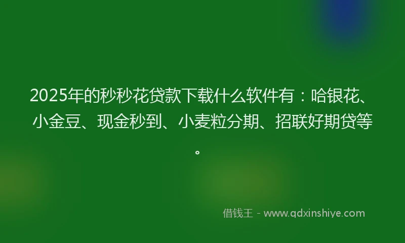 2025年的秒秒花贷款下载什么软件有：哈银花、小金豆、现金秒到、小麦粒分期、招联好期贷等。