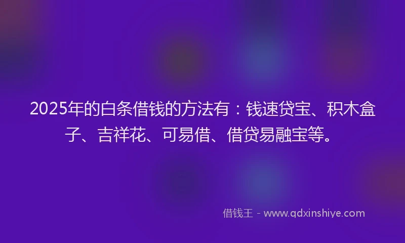 2025年的白条借钱的方法有：钱速贷宝、积木盒子、吉祥花、可易借、借贷易融宝等。