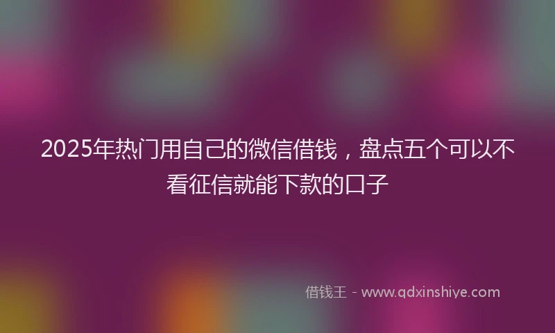 2025年热门用自己的微信借钱，盘点五个可以不看征信就能下款的口子