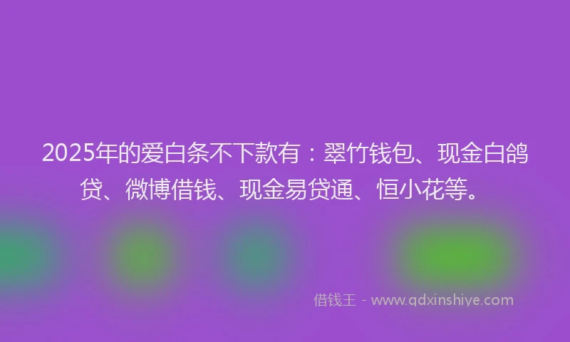 2025年的爱白条不下款有：翠竹钱包、现金白鸽贷、微博借钱、现金易贷通、恒小花等。