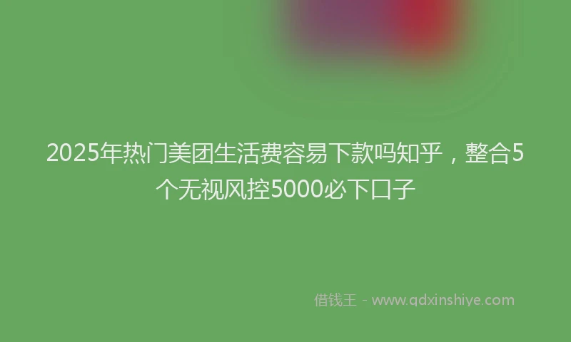 2025年热门美团生活费容易下款吗知乎，整合5个无视风控5000必下口子