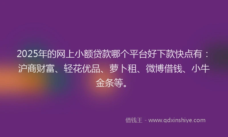 2025年的网上小额贷款哪个平台好下款快点有：沪商财富、轻花优品、萝卜租、微博借钱、小牛金条等。