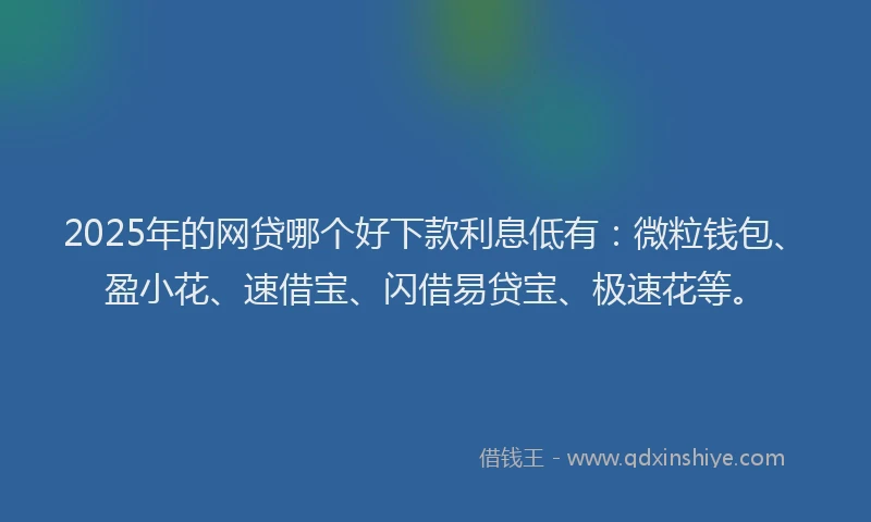 2025年的网贷哪个好下款利息低有:微粒钱包、盈小花、速借宝、闪借易贷宝、极速花等。