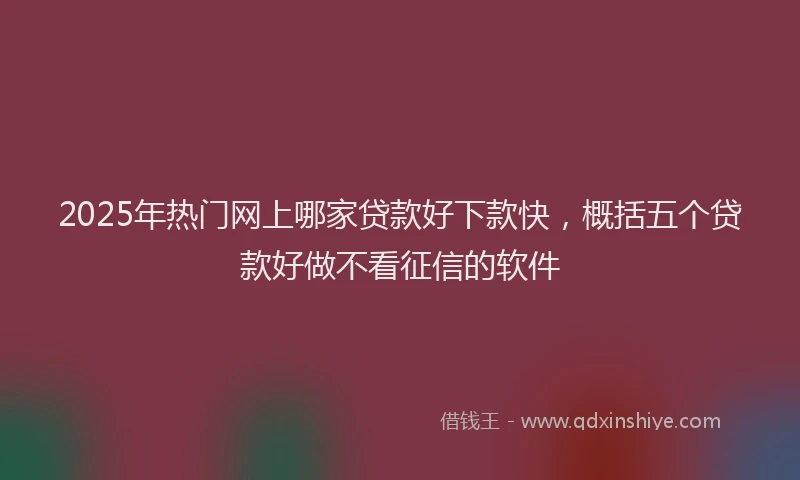 2025年热门网上哪家贷款好下款快，概括五个贷款好做不看征信的软件
