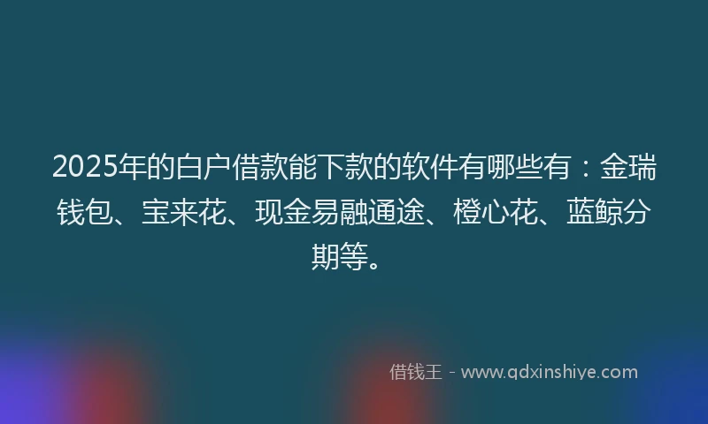 2025年的白户借款能下款的软件有哪些有：金瑞钱包、宝来花、现金易融通途、橙心花、蓝鲸分期等。