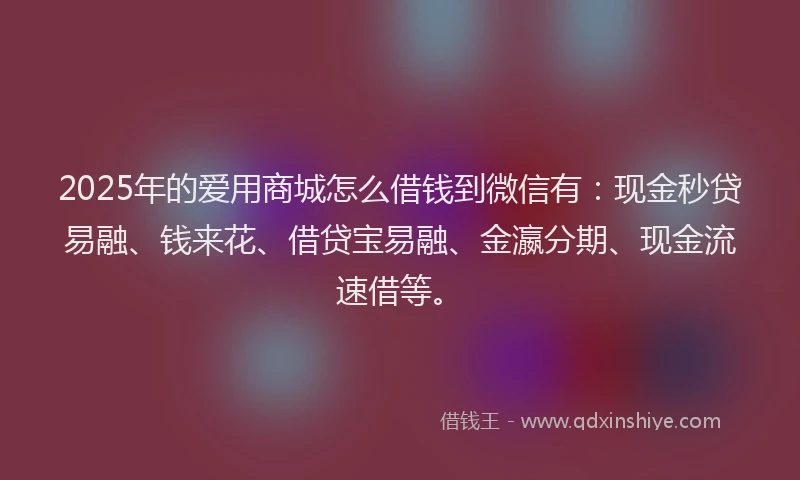 2025年的爱用商城怎么借钱到微信有：现金秒贷易融、钱来花、借贷宝易融、金瀛分期、现金流速借等。