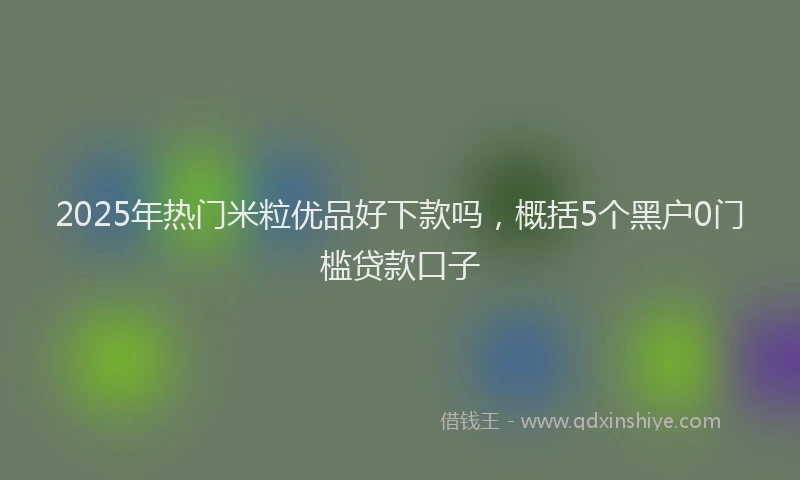 2025年热门米粒优品好下款吗，概括5个黑户0门槛贷款口子