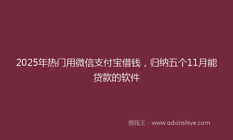 2025年热门用微信支付宝借钱,归纳五个11月能贷款的软件
