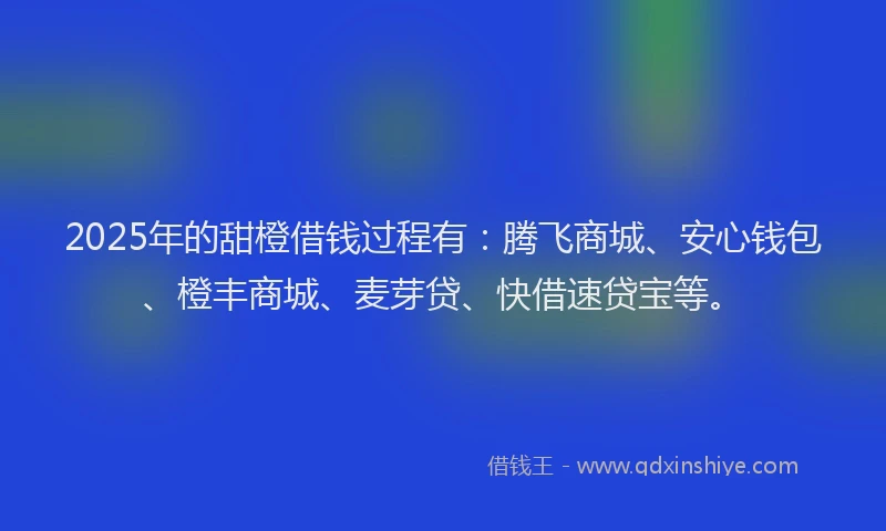 2025年的甜橙借钱过程有：腾飞商城、安心钱包、橙丰商城、麦芽贷、快借速贷宝等。