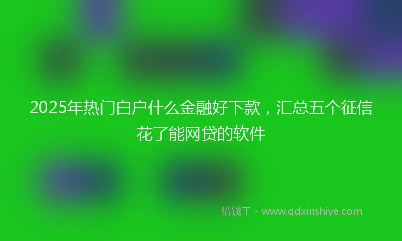 2025年热门白户什么金融好下款，汇总五个征信花了能网贷的软件