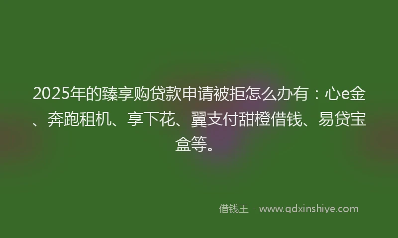 2025年的臻享购贷款申请被拒怎么办有：心e金、奔跑租机、享下花、翼支付甜橙借钱、易贷宝盒等。