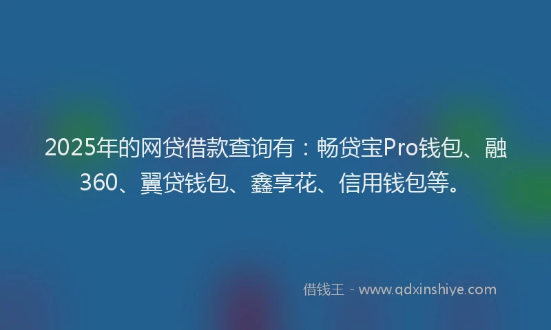 2025年的网贷借款查询有：畅贷宝Pro钱包、融360、翼贷钱包、鑫享花、信用钱包等。