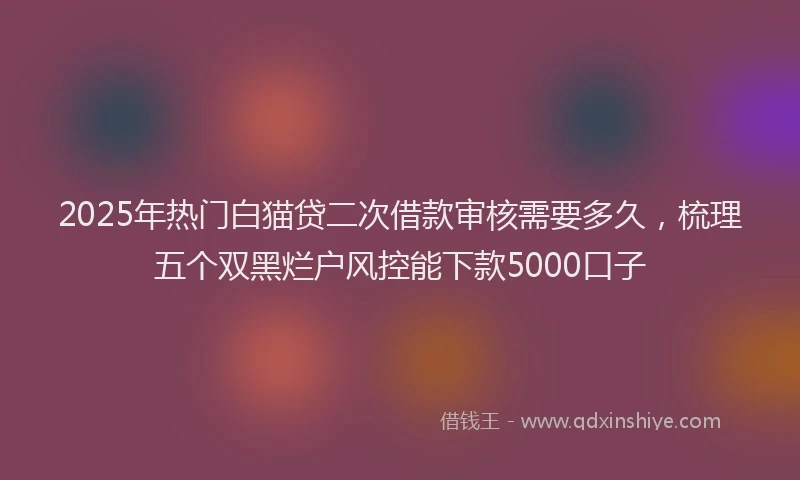 2025年热门白猫贷二次借款审核需要多久，梳理五个双黑烂户风控能下款5000口子