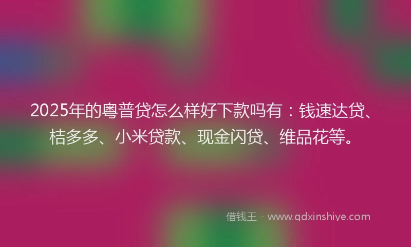 2025年的粤普贷怎么样好下款吗有：钱速达贷、桔多多、小米贷款、现金闪贷、维品花等。