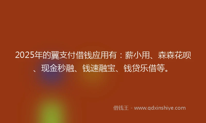 2025年的翼支付借钱应用有：薪小用、森森花呗、现金秒融、钱速融宝、钱贷乐借等。