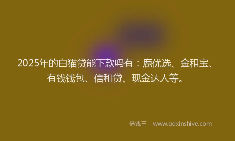 2025年的白猫贷能下款吗有：鹿优选、金租宝、有钱钱包、信和贷、现金达人等。
