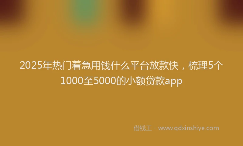 2025年热门着急用钱什么平台放款快，梳理5个1000至5000的小额贷款app