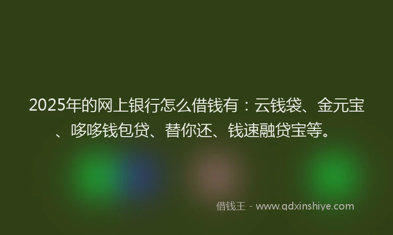 2025年的网上银行怎么借钱有：云钱袋、金元宝、哆哆钱包贷、替你还、钱速融贷宝等。
