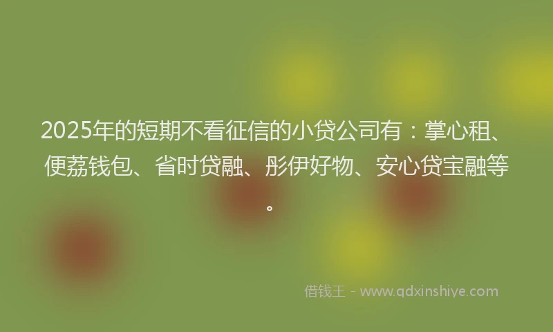 2025年的短期不看征信的小贷公司有：掌心租、便荔钱包、省时贷融、彤伊好物、安心贷宝融等。