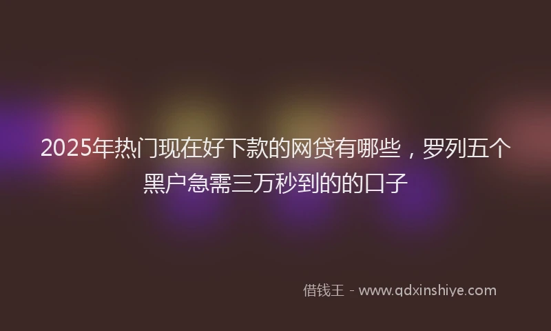 2025年热门现在好下款的网贷有哪些，罗列五个黑户急需三万秒到的的口子