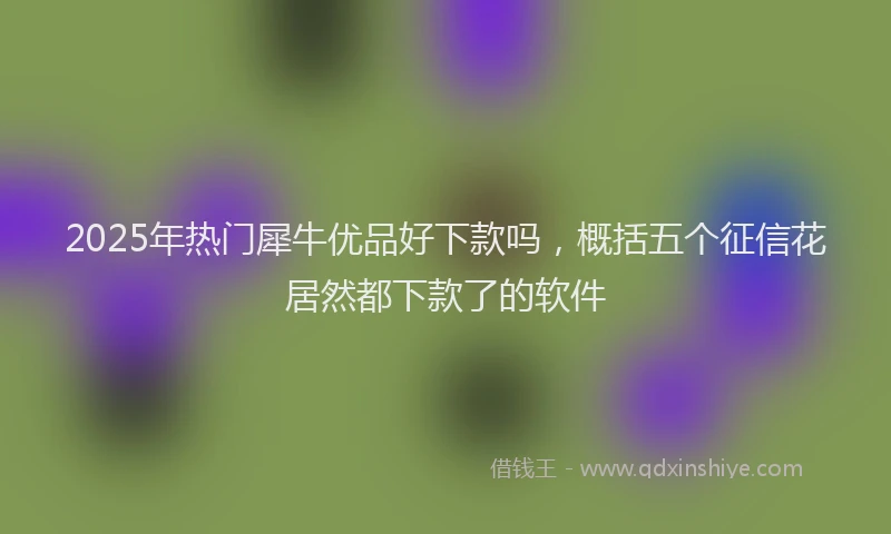 2025年热门犀牛优品好下款吗，概括五个征信花居然都下款了的软件