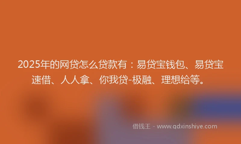 2025年的网贷怎么贷款有:易贷宝钱包、易贷宝速借、人人拿、你我贷-极融、理想给等。