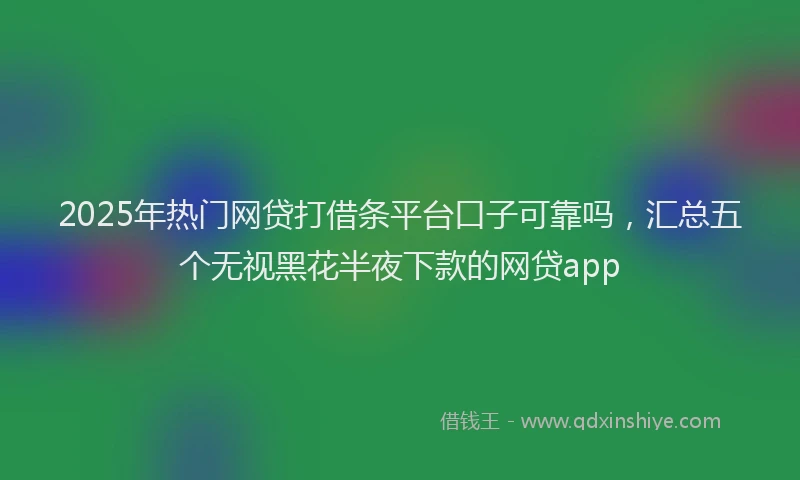2025年热门网贷打借条平台口子可靠吗，汇总五个无视黑花半夜下款的网贷app