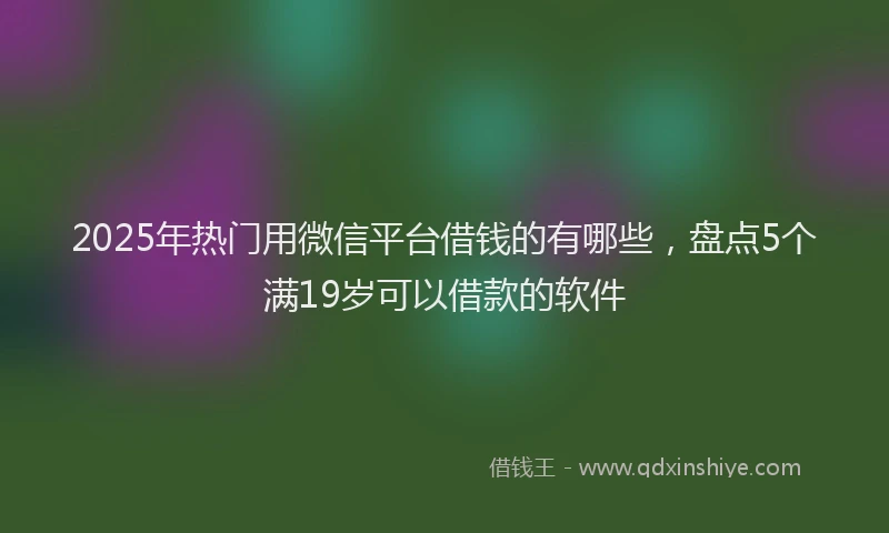 2025年热门用微信平台借钱的有哪些,盘点5个满19岁可以借款的软件