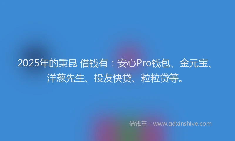 2025年的秉昆 借钱有:安心Pro钱包、金元宝、洋葱先生、投友快贷、粒粒贷等。