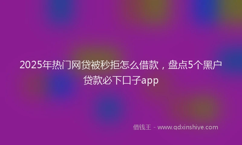 2025年热门网贷被秒拒怎么借款，盘点5个黑户贷款必下口子app