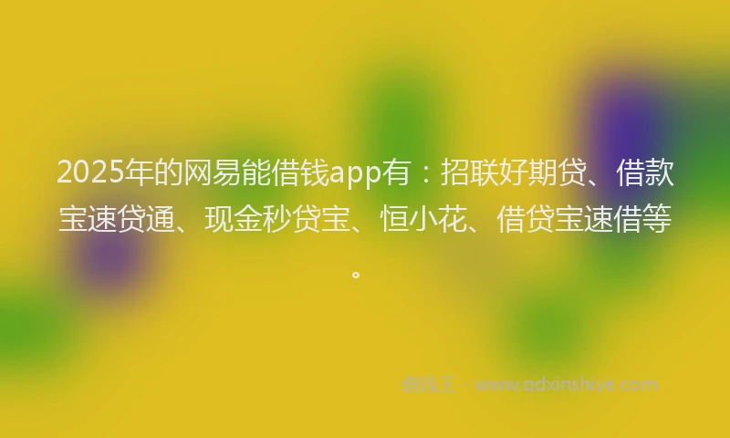 2025年的网易能借钱app有:招联好期贷、借款宝速贷通、现金秒贷宝、恒小花、借贷宝速借等。