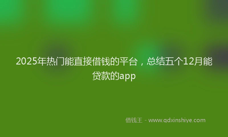 2025年热门能直接借钱的平台,总结五个12月能贷款的app