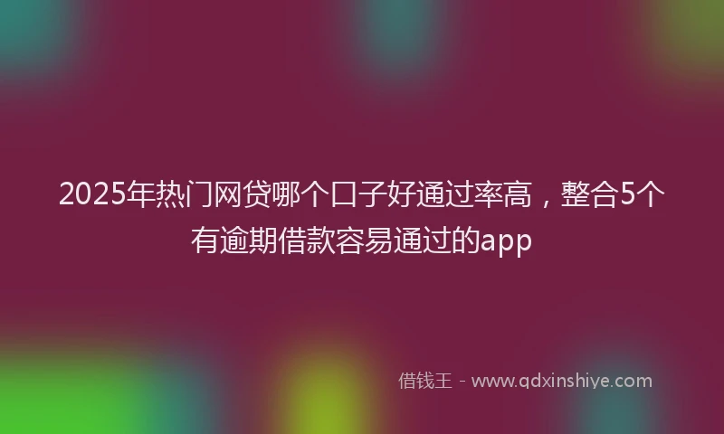 2025年热门网贷哪个口子好通过率高，整合5个有逾期借款容易通过的app