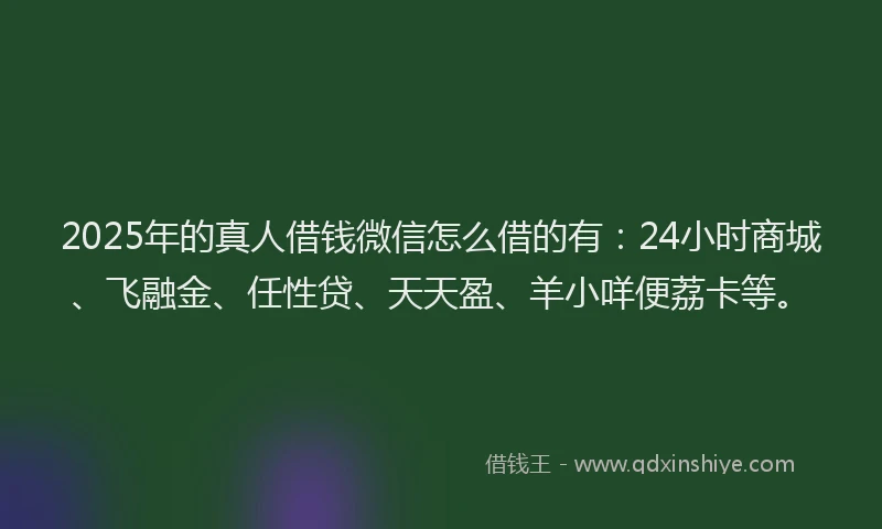 2025年的真人借钱微信怎么借的有：24小时商城、飞融金、任性贷、天天盈、羊小咩便荔卡等。