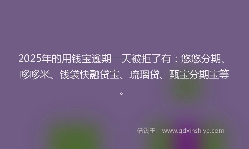 2025年的用钱宝逾期一天被拒了有：悠悠分期、哆哆米、钱袋快融贷宝、琉璃贷、甄宝分期宝等。