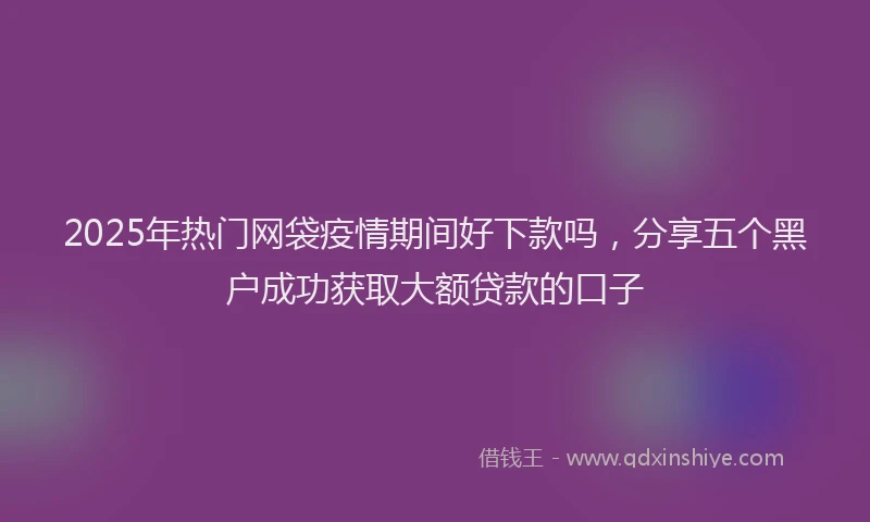 2025年热门网袋疫情期间好下款吗，分享五个黑户成功获取大额贷款的口子