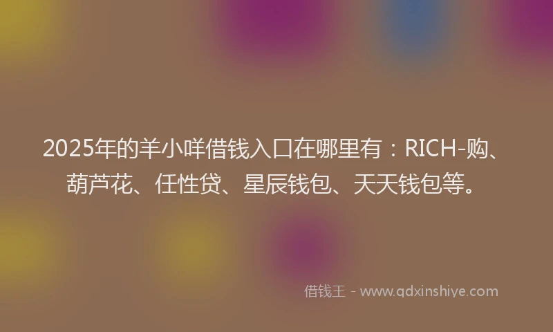2025年的羊小咩借钱入口在哪里有：RICH-购、葫芦花、任性贷、星辰钱包、天天钱包等。