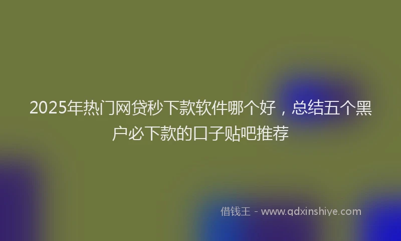 2025年热门网贷秒下款软件哪个好，总结五个黑户必下款的口子贴吧推荐