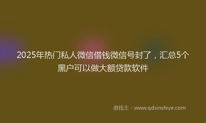 2025年热门私人微信借钱微信号封了，汇总5个黑户可以做大额贷款软件