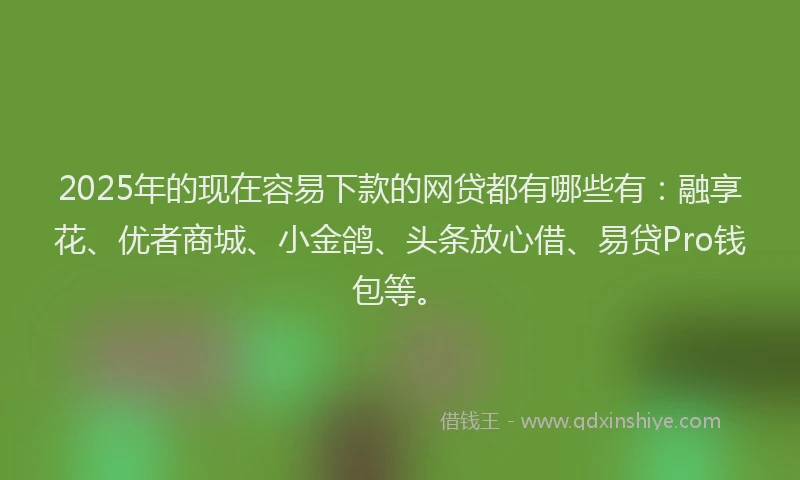 2025年的现在容易下款的网贷都有哪些有：融享花、优者商城、小金鸽、头条放心借、易贷Pro钱包等。