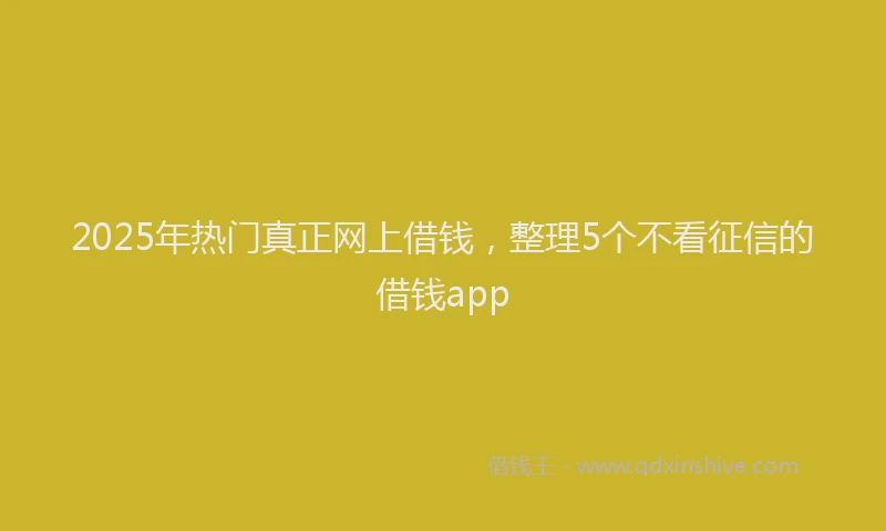 2025年热门真正网上借钱，整理5个不看征信的借钱app