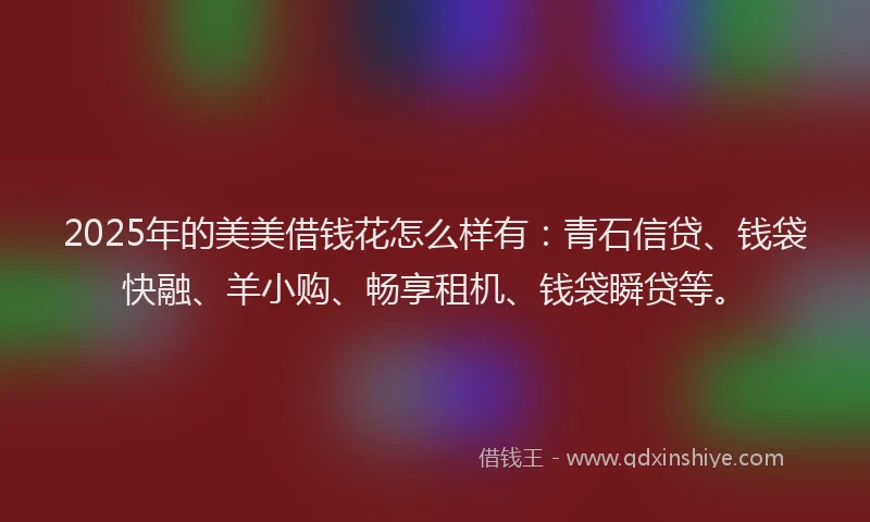 2025年的美美借钱花怎么样有：青石信贷、钱袋快融、羊小购、畅享租机、钱袋瞬贷等。