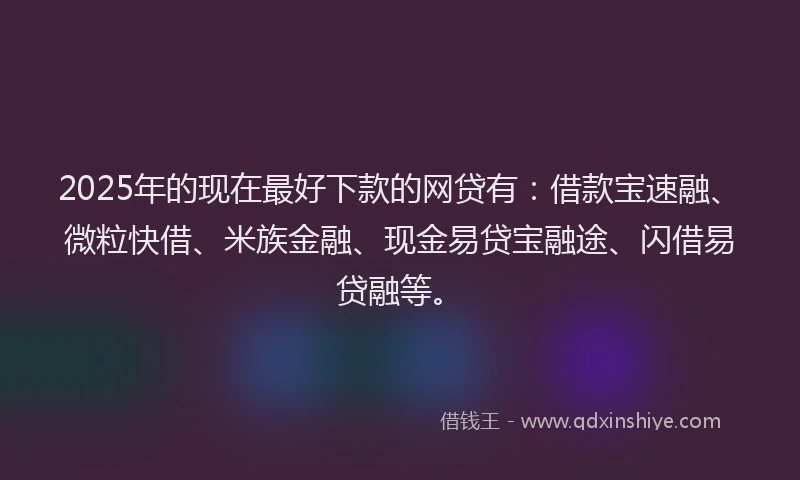 2025年的现在最好下款的网贷有：借款宝速融、微粒快借、米族金融、现金易贷宝融途、闪借易贷融等。